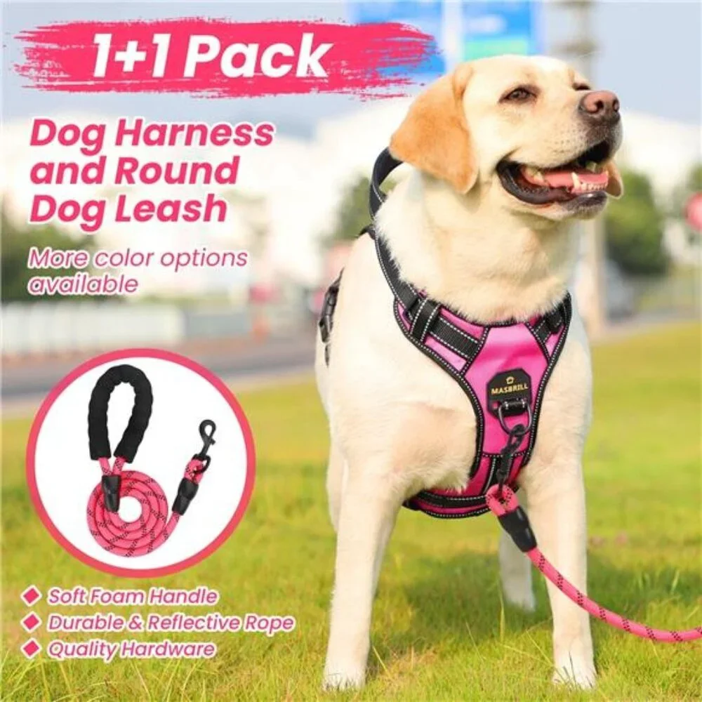 Dog Harness Leash Set, No Pull Vest Harness, Reflective Adjustable for Small Dog